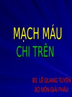 Mạch máu chi trên ppt
