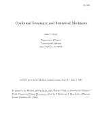 cardy j. conformal invariance and statistical mechanics