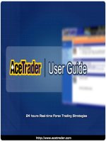 forex, foreign exchange, currency, technical analysis, elliot wave theory, trading guide