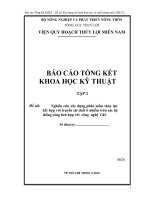 Nghiên cứu xây dựng phần mềm thuỷ lực kết hợp với truyền tải chất ô nhiễm trên các hệ thống sông tích hợp với công nghệ GIS