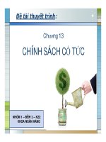 Bài tập nhóm chính sách cổ tức