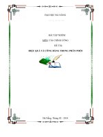 HIEU QUHIỆU QUẢ VÀ CÔNG BẰNG TRONG PHÂN PHỐI - CÁC VẤN ĐỀ LIÊN QUAN ĐẾN 2 YẾU TỐ NÀY VÀ MỐI QUAN HỆ GIỮA CHÚNGA VA CONG BANG TRONG PHAN PHOI   TAI CHINH CONG