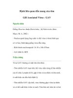 Bệnh liên quan đến mang của tôm -Gill Asociated Virus - GAV pot