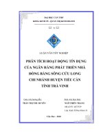 phân tích hoạt động tín dụng tại phòng giao dịch tiểu cần ngân hàng phát triển nhà đồng bằng sông cửu long chi nhánh tỉnh trà vinh