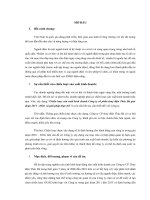 Xây dựng chiến lược sản xuất kinh doanh của công ty CPTĐ thác bà