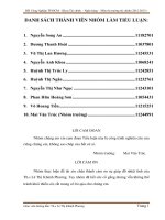 tiểu luận thị trường ngoại hối việt nam