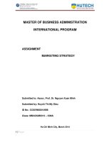 Suggestion of two potential market segments for Viet Fashion Corporation (MArketing Strategy Assigment for MBA students)