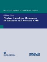 nuclear envelope dynamics in embryos and somatic cells