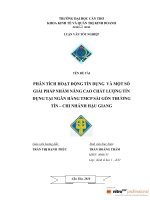 phân tích hoạt động tín dụng và một số biện pháp nhằm nâng cao chất lượng tín dụng tại ngân hàng tmcp sài gòn thương tín - chi nhánh hậu giang