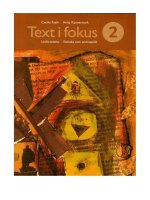text i fokus 2