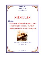 năng lực bồi thường thiệt hại ngoài hợp đồng của cá nhân theo pháp luật dân sự việt nam