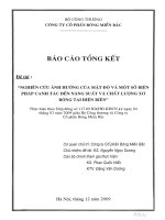 nghiên cứu ảnh hưởng của mật độ và một số biện pháp canh tác đến năng suất và chất lượng xơ bông tại điện biên