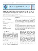 NGHIÊN CỨU ẢNH HƯỞNG CỦA CHẤT KHÁNG OXY HÓA ĐẾN SỰ THAY ĐỔI THÀNH PHẦN DẦU DIESEL SINH HỌC TỔNG HỢP TỪ MỠ CÁ TRA, CÁ BASA docx