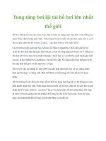 Tung tăng bơi lội tài hồ bơi lớn nhất thế giới ppt