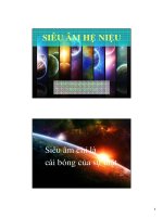 Siêu âm tiết niệu docx