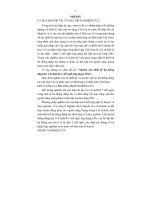 Nghiên cứu thiết kế hệ thống động lực ô tô hybid 2 chỗ ngồi ứng dụng LPG