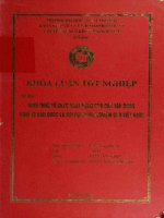 khóa luận tốt nghiệp hình thức tổ chức hoạt động của các tập đoàn kinh tế hàn quốc và bài học kinh nghiệm cho việt nam