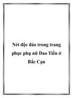 Nét độc đáo trong trang phục phụ nữ Dao Tiền ở Bắc Cạn pot