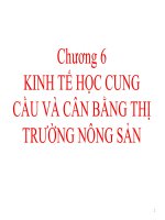 slide kinh tế nông nghiệp chương 6 Kinh tế học cung cầu và cân bằng thị trường nông sản