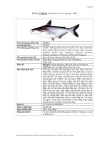 Nhóm các nước ngọt pdf