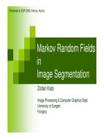 markov random fields in image segmentation