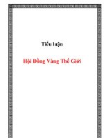 Tiểu luận: Hội đồng vàng thế giới