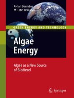 algae energy