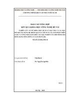 Nghiên cứu cơ sở khoa học quản lý hạn hán và sa mạc hóa để xây dựng hệ thống quản lý, đề xuất các giải pháp chiến lược và tổng thể giảm thiểu tác hại, nghiên cứu điển hình cho vùng đồng bằng sông hồng và nam trung bộ