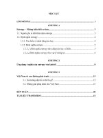 Entropy - ứng dụng trong kinh tế và lối đi nào cho việt nam