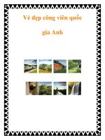 Vẻ đẹp công viên quốc gia Anh pot