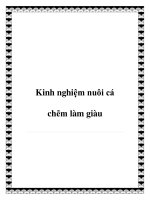 Kinh nghiệm nuôi cá chẽm làm giàu pot