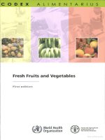Fresh fruit and vegetable