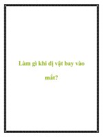 Làm gì khi dị vật bay vào mắt? ppt