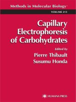 capillary electrophoresis of carbohydrates