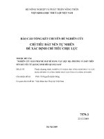Nghiên cứu giải pháp đắp đê bằng vật liệu địa phương và đắp đê trên nền đất yếu từ quảng ninh đến quảng nam   chỉ tiêu đất nền tự nhiên để xác định chỉ tiêu chịu lực