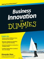 business innovation for dummies