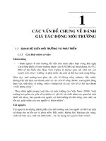 CÁC VẤN ĐỀ CHUNG VỀ ĐÁNH GIÁ TÁC ĐỘNG MÔI TRƯỜNG pptx