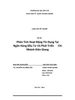 phân tích hoạt động tín dụng tại ngân hàng đầu tư và phát triển chi nhánh kiên giang 