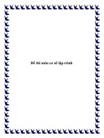 Đề thi môn cơ sỡ lập trình pptx