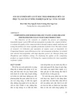 SẢN XUẤT PHÂN HỮU CƠ TỪ RÁC THẢI SINH HOẠT HỮU CƠ PHỤC VỤ SẢN XUẤT NÔNG NGHIỆP SẠCH TẠI VÙNG VEN ĐÔ potx