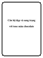 Căn hộ đẹp và sang trọng với tone màu chocolate potx