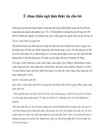 Ủ chua thân ngô làm thức ăn cho bò potx