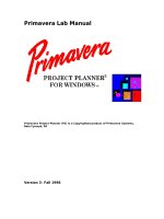 Primavera Manual - Part 1