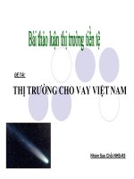 Thuyết trình thị trường cho vay việt nam