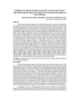 NGHIÊN CỨU VI SINH VẬT NỘI SINH VÀ CÁC HỢP CHẤT HÓA HỌC CÓ HOẠT TÍNH KHÁNG NẤM GÂY BỆNH Ở CÁC DÒNG KEO TAI TƯỢNG KHẢO NGHIỆM TẠI THỪA THIÊN HUẾ pdf