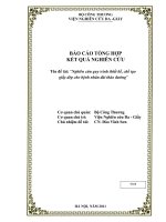 nghiên cứu quy trình thiết kế, chế tạo giầy dép cho bệnh nhân đái tháo đường