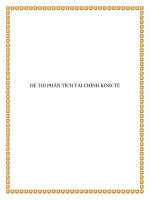 ĐỀ THI PHÂN TÍCH TÀI CHÍNH KINH TẾ pdf