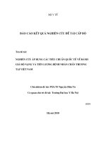 Nghiên cứu áp dụng các tiêu chuẩn quốc tế về đánh giá độ nặng và tiên lượng bệnh nhân chấn thương tại việt nam