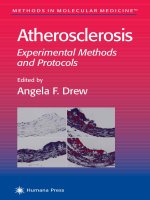 atherosclerosis, experimental methods and protocols