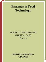 Enzymes in food technology